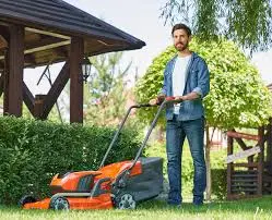 BP Blitz Garden Maintenance and Landscaping Services